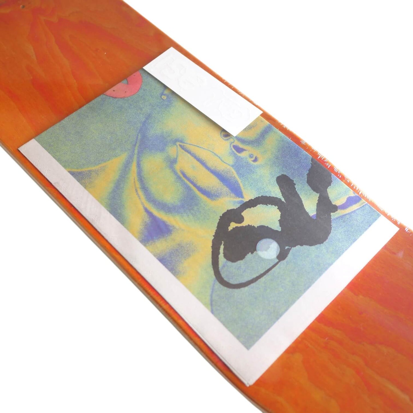 QUASI (クアジー)Rizzo Gazer 8.25inch