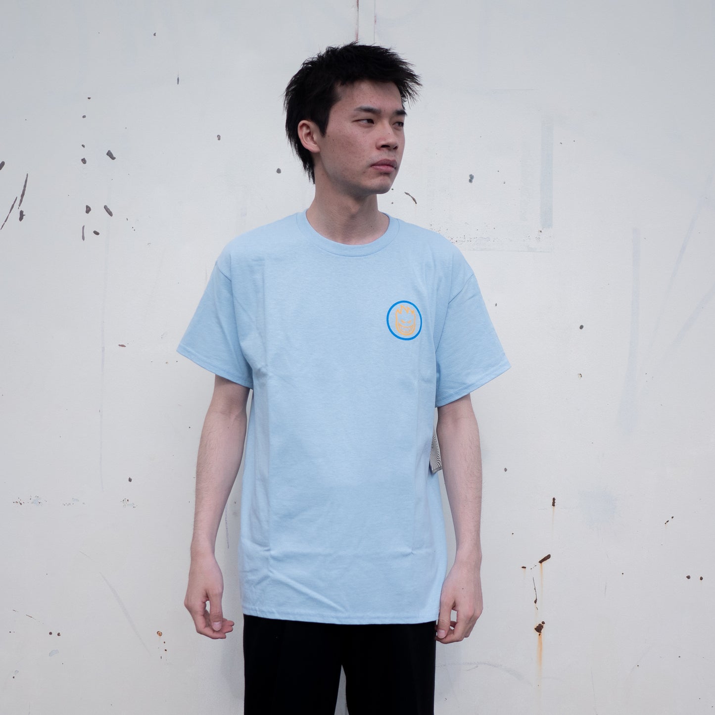 Spitfire(スピットファイアー)のアパレル TEE CLASSIC SWIRL OVERLAY M/L/XL の着用時/前面