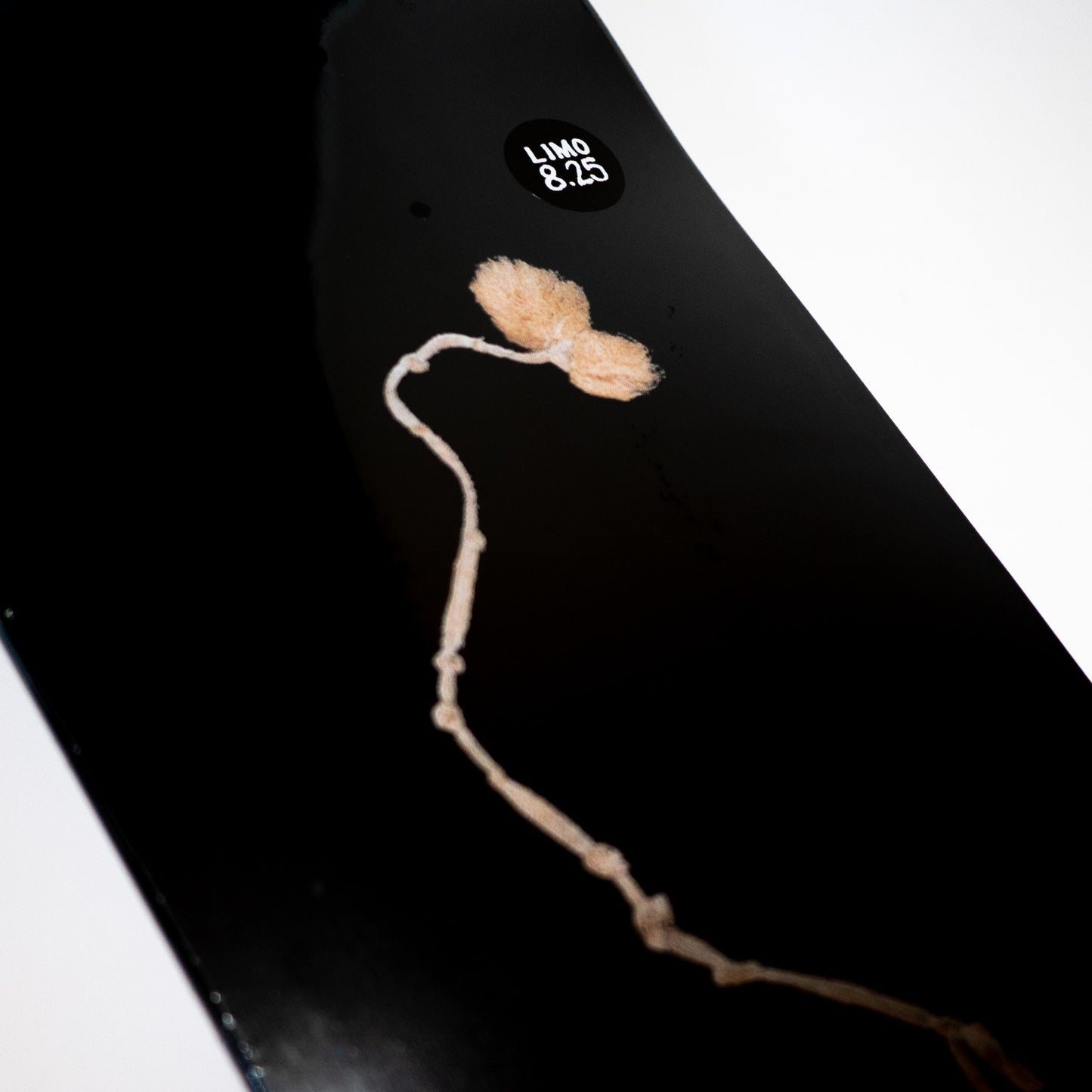 Limosine skateboards(リモジン スケートボード)YUZISTRING (AARON LORETH)8.25inch