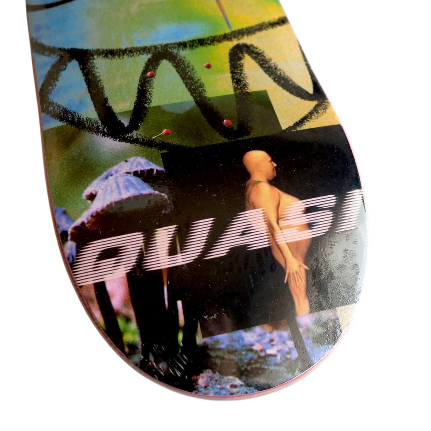 QUASI （クアジー）のデッキWilson Big Data 8.0inchのテール