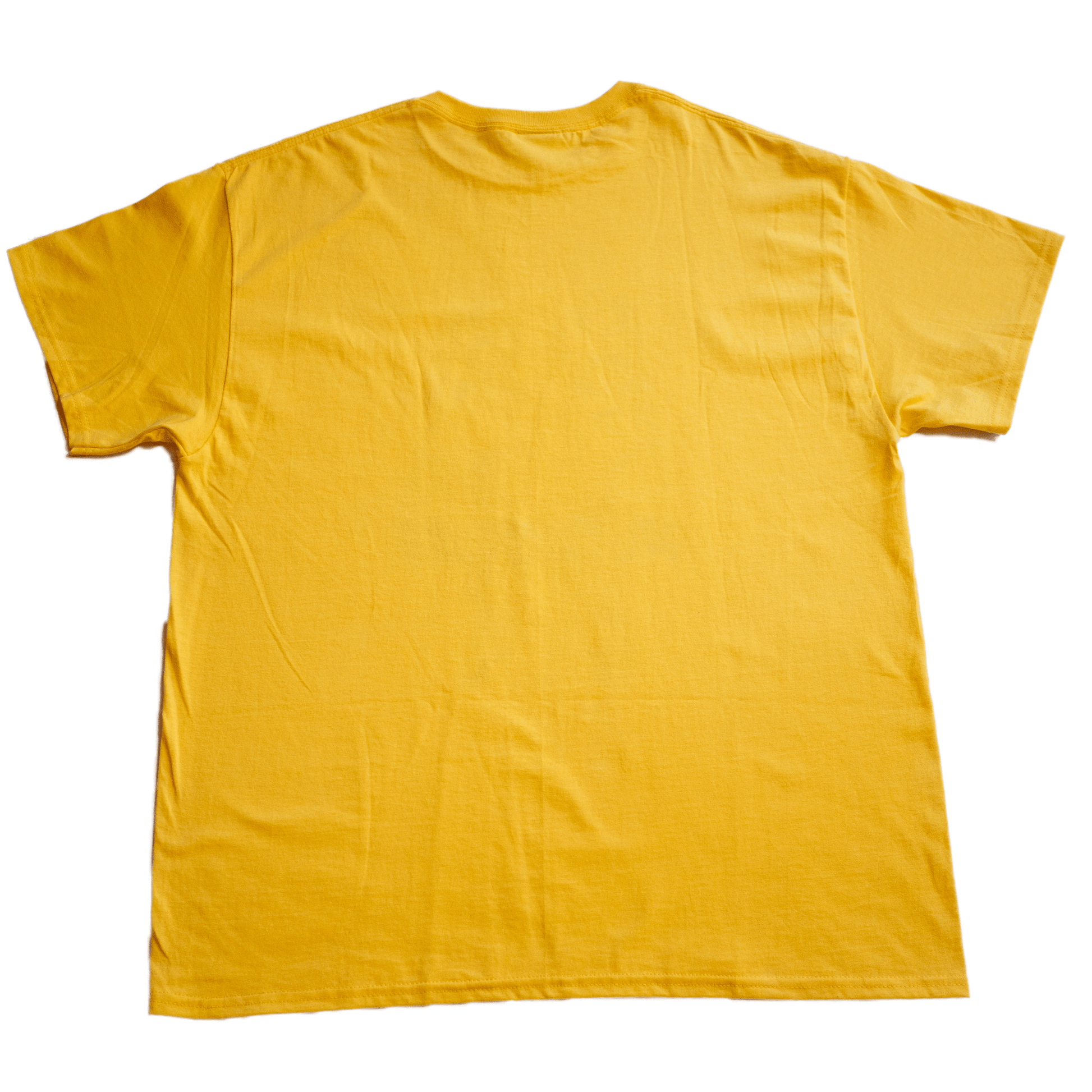 FROG SKATEBOARDS（フロッグ スケートボード）のアパレル GIRL BOSSES TEE YELLOWの背面