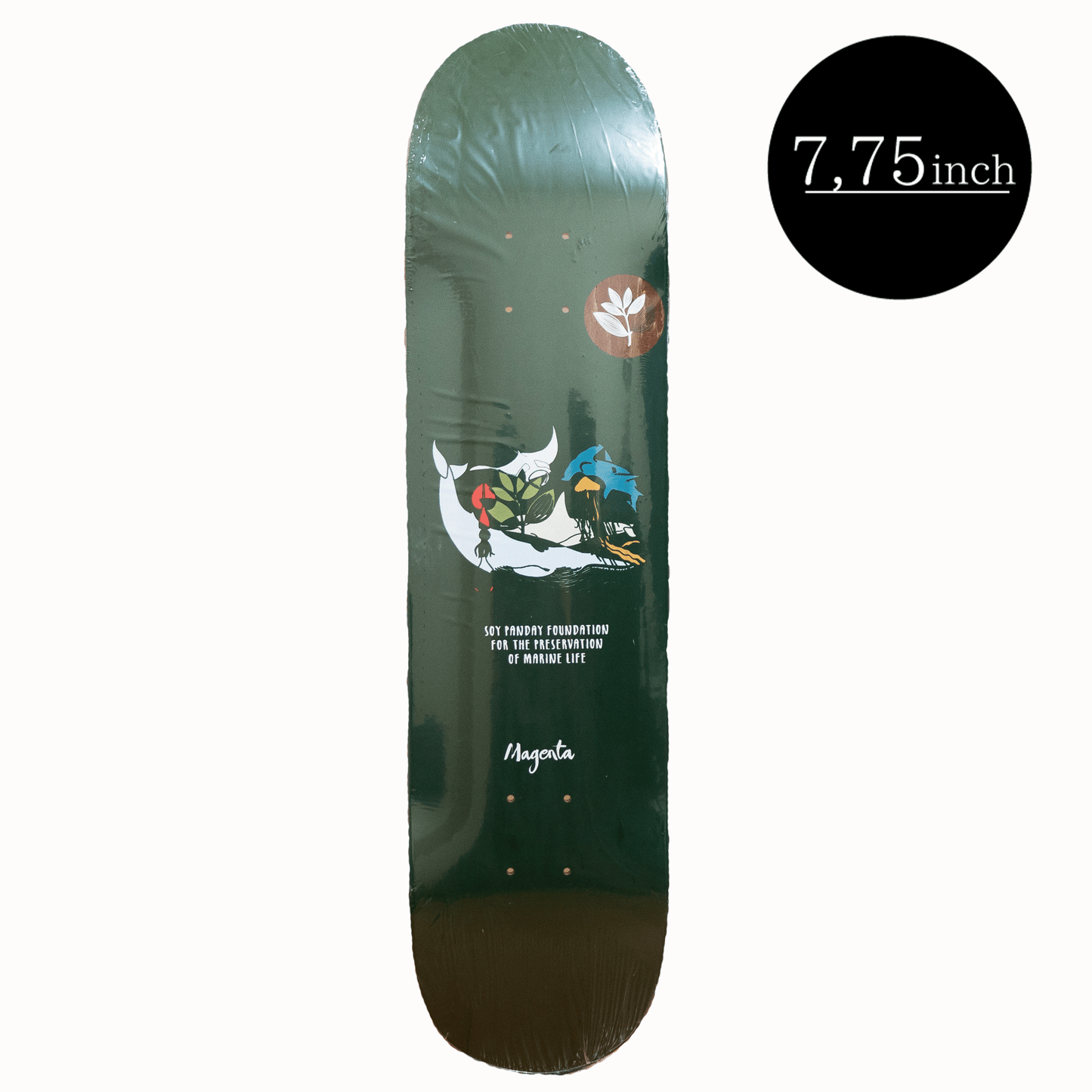 MAGENTA SKATEBOARDS（マゼンタ スケートボード） Deck（デッキ）DEEP