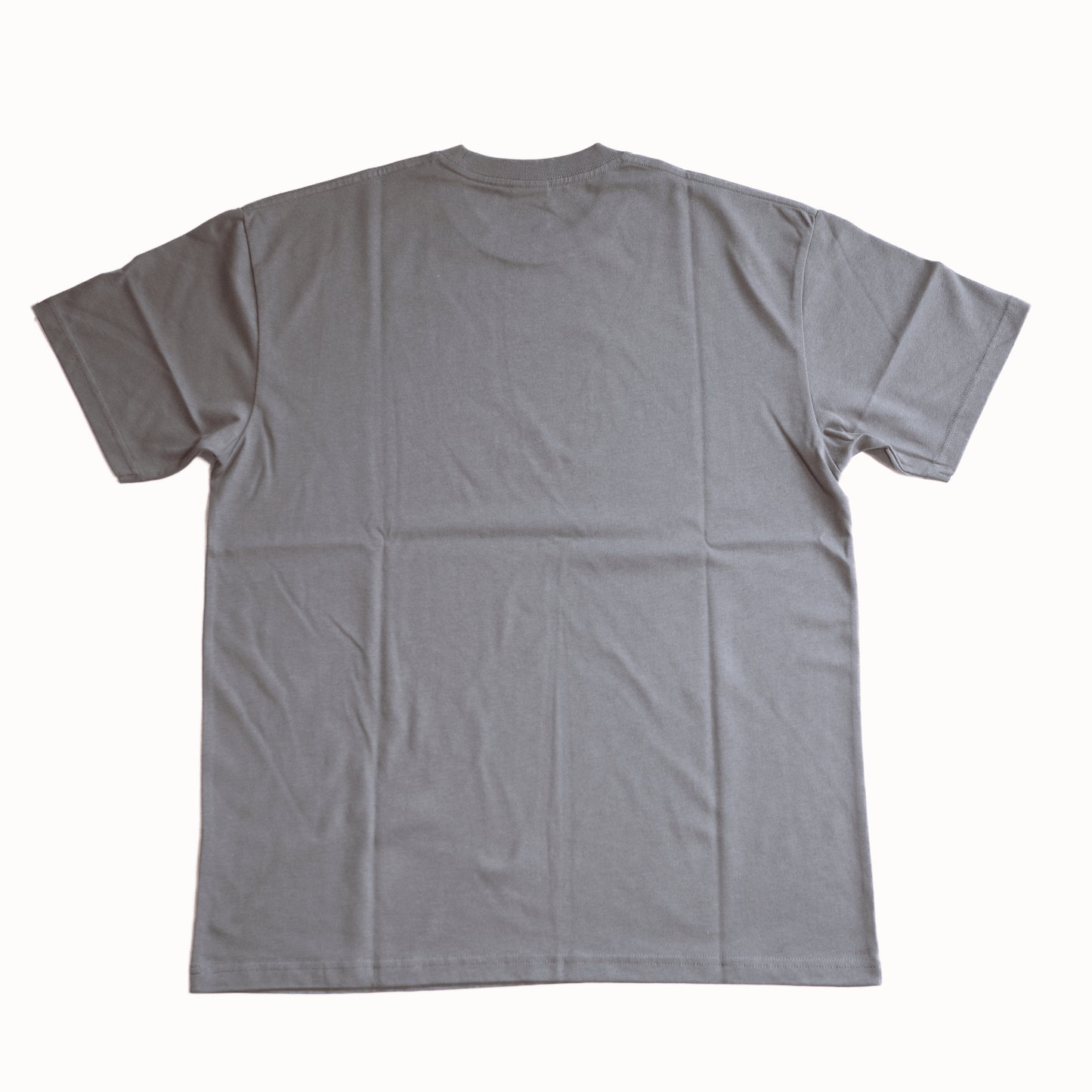 Polar Skate Co.（ポーラー スケートボード カンパニー） のアパレルEVERYTHING IS NORMAL TEE GRAPHITEの背面