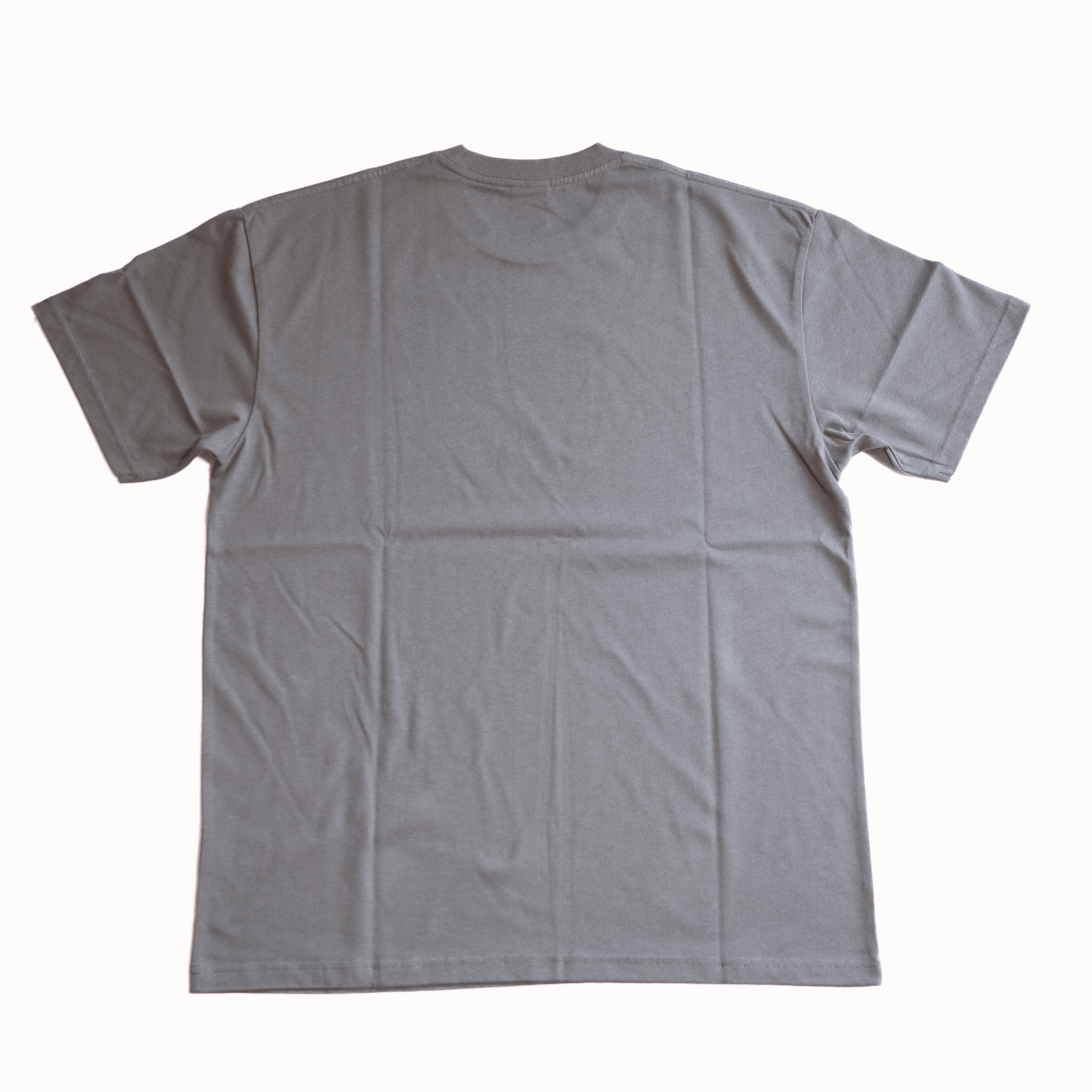 Polar Skate Co.（ポーラー スケートボード カンパニー） のアパレルEVERYTHING IS NORMAL TEE GRAPHITEの背面