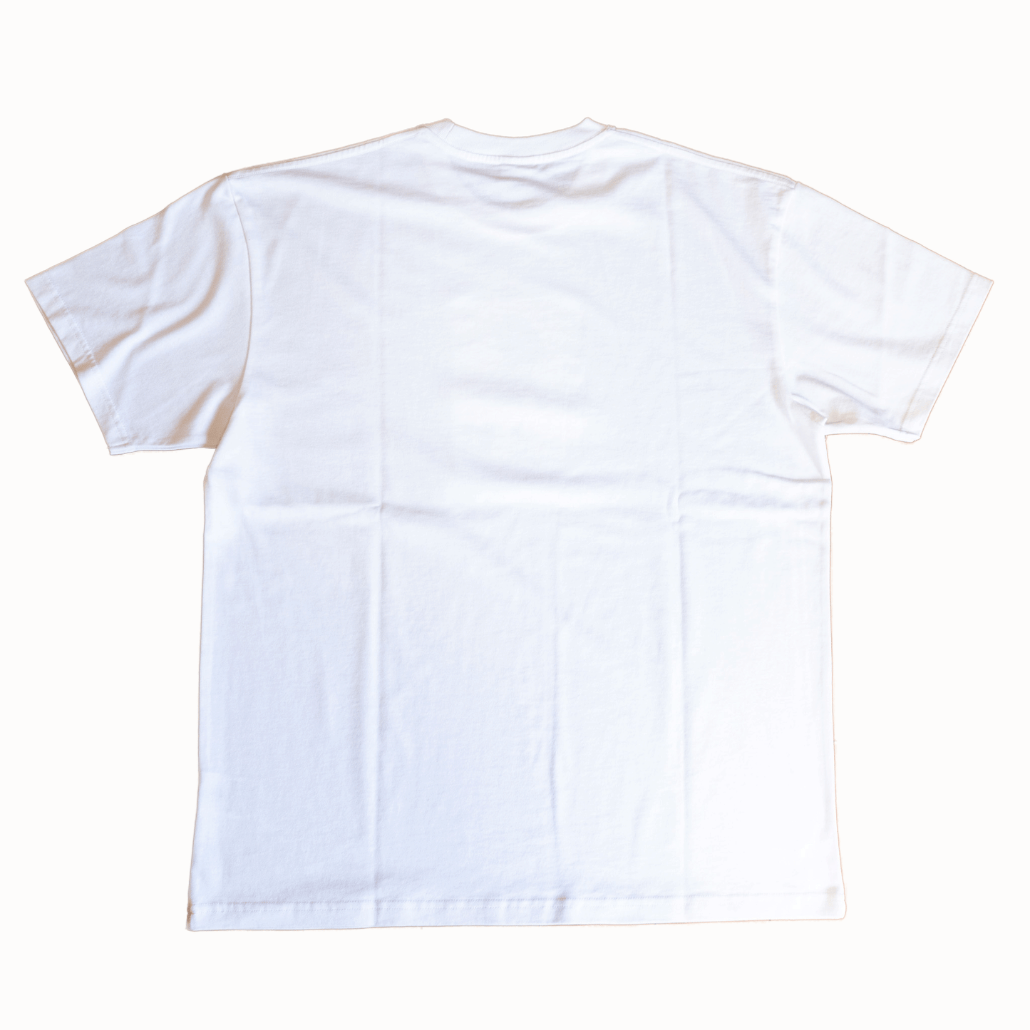 Polar Skate Co.（ポーラー スケートボード カンパニー） EVERYTHING IS NORMAL TEE WHITE