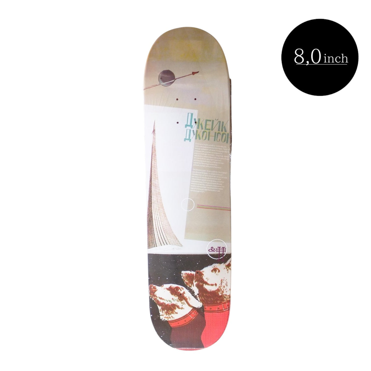 AMPERSAND POUND（アンパサンド パウンド） JAKE JOHNSON GUEST 8.0inch 表