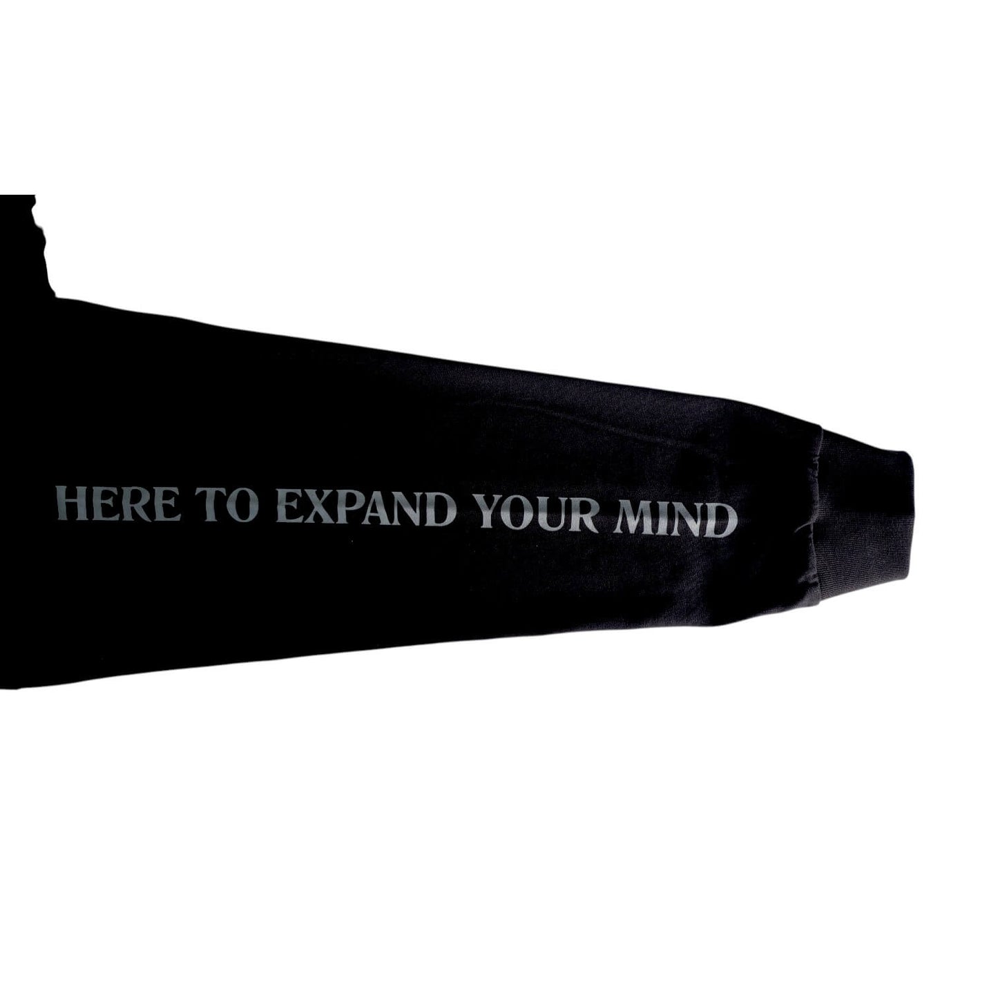 Last Resort AB（ラストリゾート エービー）のアパレル ATLAS MIND LS TEE BLACK/GREYの袖プリント拡大画像