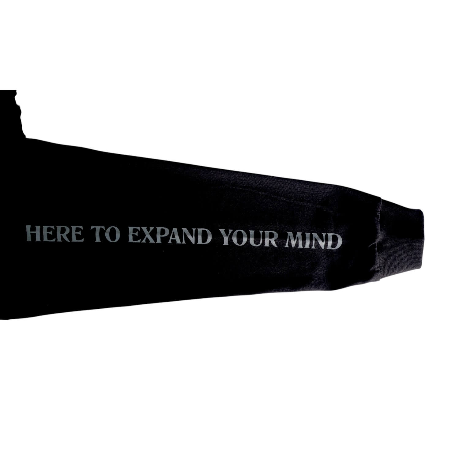 Last Resort AB（ラストリゾート エービー）のアパレル ATLAS MIND LS TEE BLACK/GREYの袖プリント拡大画像